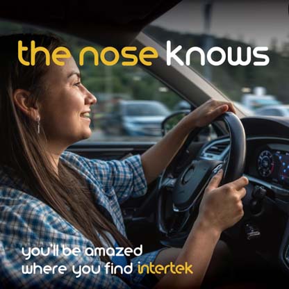 A woman smiling while driving a car