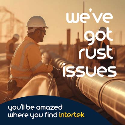 An engineer inspecting an industrial pipeline